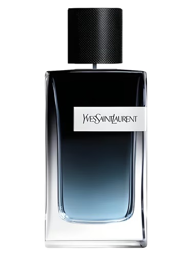 YSL EDP